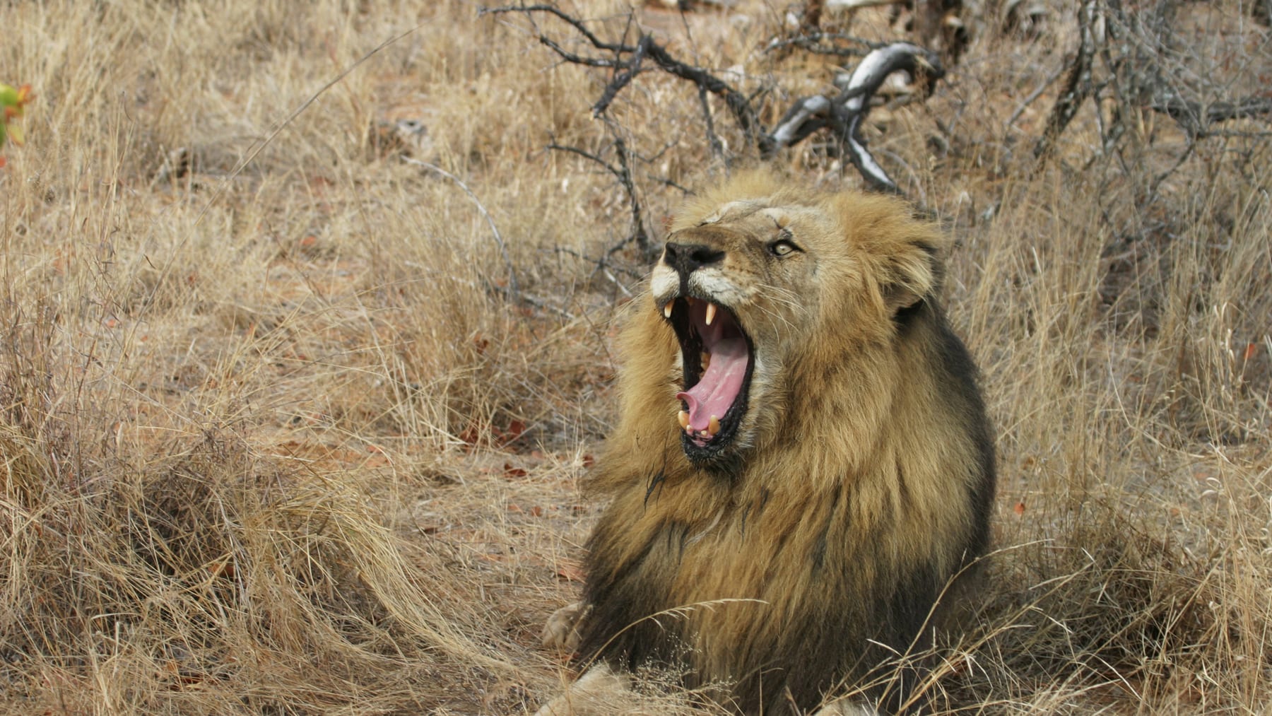 Kruger National Park