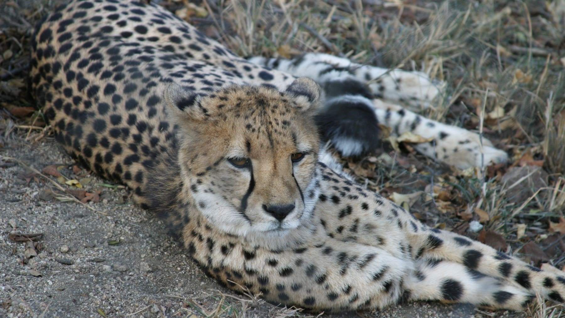 Namibia